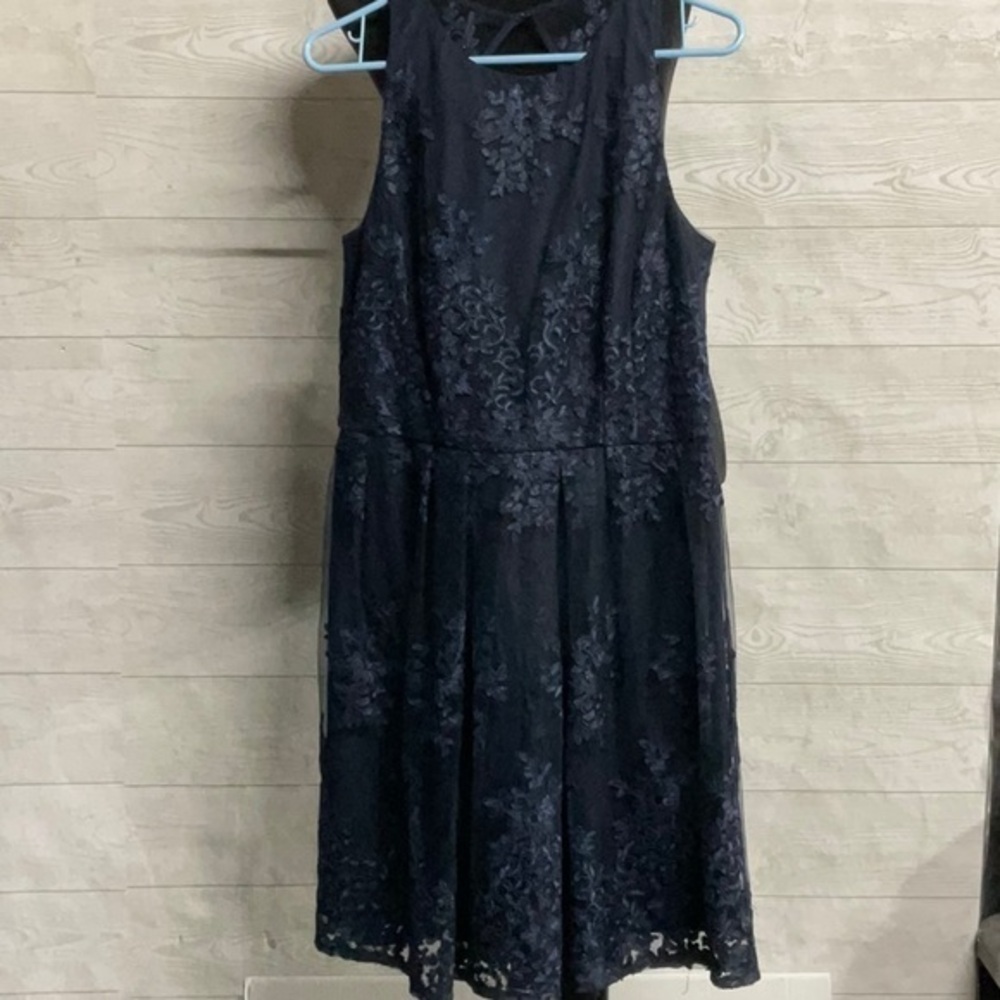 Taylor lace dress 10